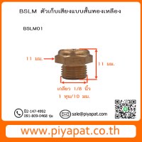 BSLM01 รูปโชว์